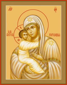 Икона Жировицкая икона Божией Матери (АРТ.00314)