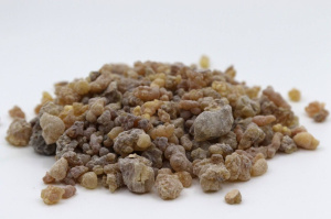 Сорт "Amber" — Янтарный 