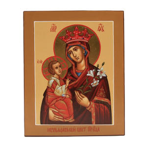 Неувядаемый цвет, писаная икона Божией Матери