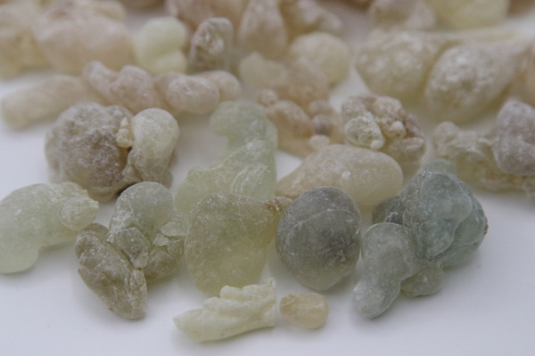 сорт Green Boswéllia- Царский