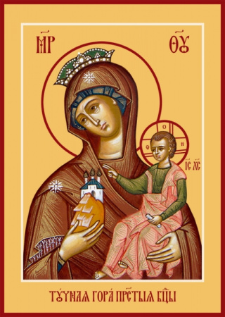 Тучная Гора икона Божией Матери, купить икону