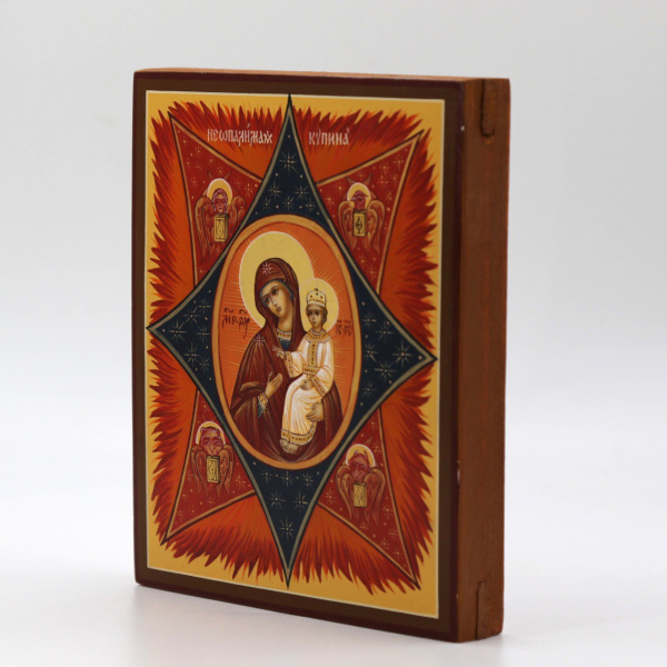 Неопалимая Купина, писаная икона Божией Матери
