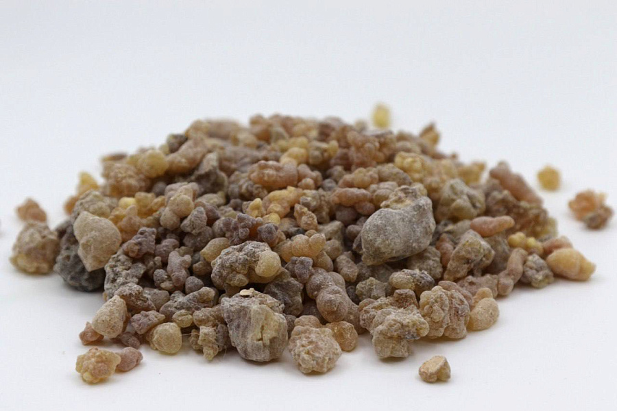 Сорт "Amber" — Янтарный 