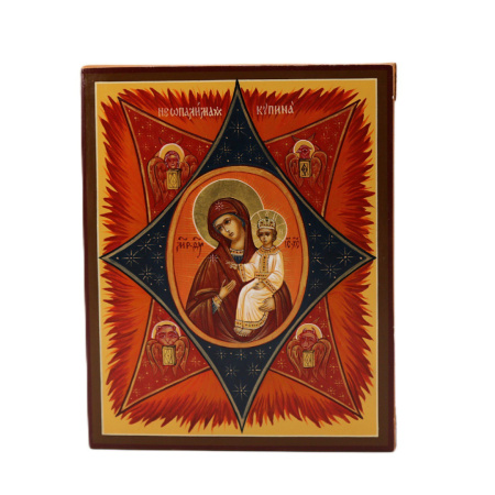 Неопалимая Купина, писаная икона Божией Матери