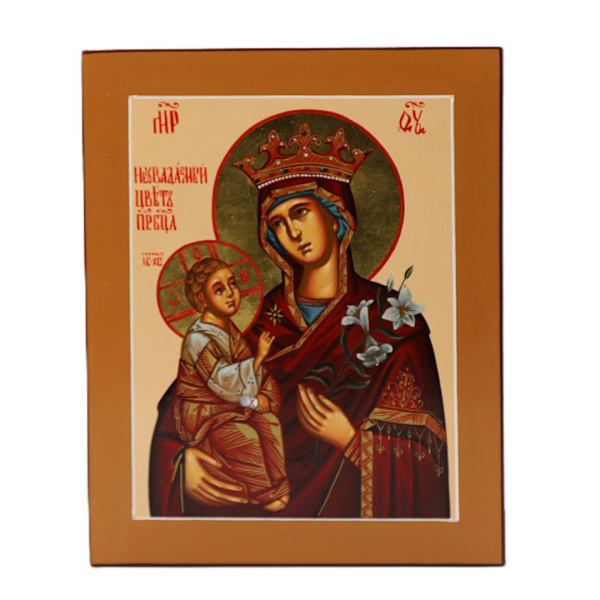 Неувядаемый цвет, писаная икона Божией Матери