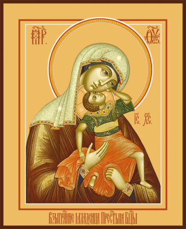 Взыграние младенца икона Божией Матери, купить икону