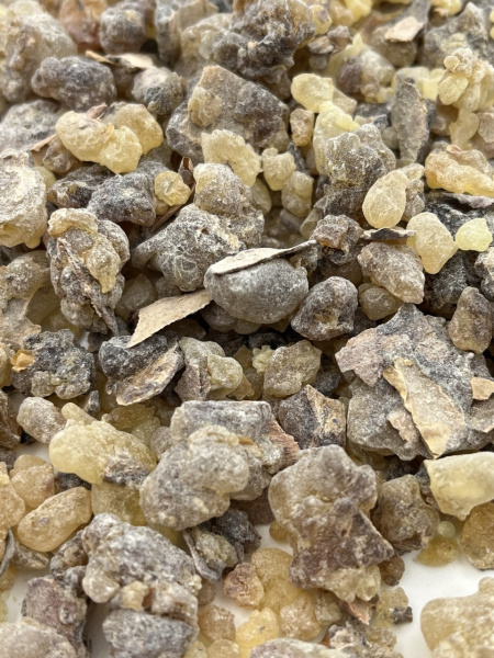 Сорт Shaabi - Ранний (неотсортированный)