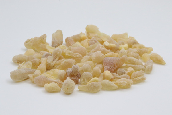 сорт Hoojri -Платинум