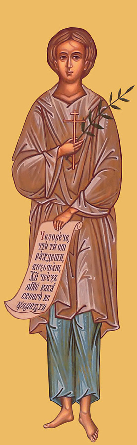 Икона Артемий Веркольский праведный отрок, ростовой образ, серая рубаха и свиток с текстом 